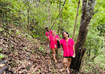 joy elephant sanctuary, joy elephant sanctuary chiang mai