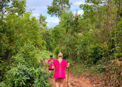 joy elephant sanctuary, joy elephant sanctuary chiang mai