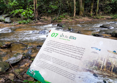 elephant observation and hiking doi inthanon, elephant observation and trekking doi inthanon, elephant observation and doi inthanon hike, elephant observation and doi inthanon trek, elephant surveying and doi inthanon hiking, doi inthanon hiking, doi inthanon trekking