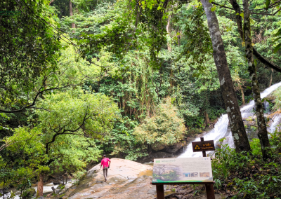 elephant observation and hiking doi inthanon, elephant observation and trekking doi inthanon, elephant observation and doi inthanon hike, elephant observation and doi inthanon trek, elephant surveying and doi inthanon hiking, doi inthanon hiking, doi inthanon trekking