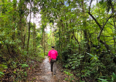 elephant observation and hiking doi inthanon, elephant observation and trekking doi inthanon, elephant observation and doi inthanon hike, elephant observation and doi inthanon trek, elephant surveying and doi inthanon hiking, doi inthanon hiking, doi inthanon trekking