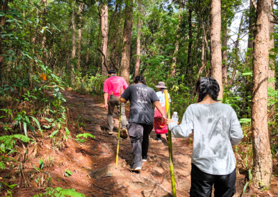 elephant observation and hiking doi inthanon, elephant observation and trekking doi inthanon, elephant observation and doi inthanon hike, elephant observation and doi inthanon trek, elephant surveying and doi inthanon hiking, doi inthanon hiking, doi inthanon trekking