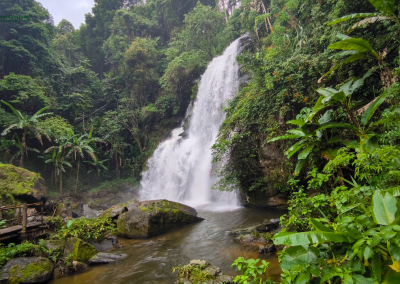 elephant observation and hiking doi inthanon, elephant observation and trekking doi inthanon, elephant observation and doi inthanon hike, elephant observation and doi inthanon trek, elephant surveying and doi inthanon hiking, doi inthanon hiking, doi inthanon trekking