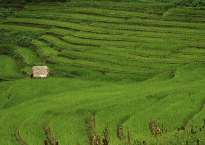 ban huai kung, baan huai kung, huai kung village, ban huay kung, baan hauy kung, huay kung village, ban huai kung village, ban huay kung village
