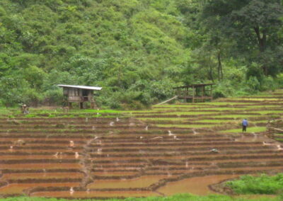 ban huai kung, baan huai kung, huai kung village, ban huay kung, baan hauy kung, huay kung village, ban huai kung village, ban huay kung village