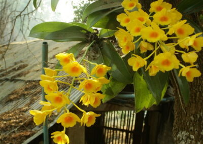 hiking at ban huai kung, ban huai kung day trek, ban huai kung day hike, ban huai kung trekking, ban huai kung adventure trek, ban huai kung hike, a day hike at ban huai kung, ban huai kung day hike