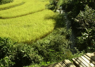 hiking at ban huai kung, ban huai kung day trek, ban huai kung day hike, ban huai kung trekking, ban huai kung adventure trek, ban huai kung hike, a day hike at ban huai kung, ban huai kung day hike