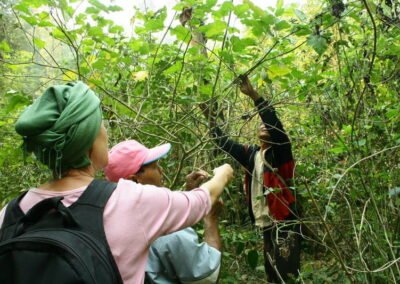 hiking at ban huay kaew, a day hike at ban huay kaew, ban huay kaew day hike, ban huay kaew trekking, ban huay kaew adventure trek, hiking at ban huay kaew, ban huay kaew trekking, ban huay kaew hike, hiking at ban huai kaeo