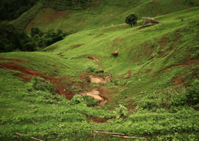 trekking at ban Jabo, ban Jabo day hike, ban Jabo trekking, ban Jabo adventure trek, hiking at ban Jabo, ban Jabo day trek, ban Jabo hike, ban Jabo trek