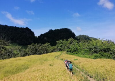 trekking at ban muang pam, ban muang pam day hike, ban muang pam trekking, ban muang pam adventure trek, hiking at ban muang pam, ban muang pam day trek, ban muang pam hike, ban muang pam trek