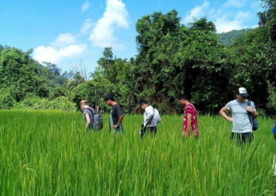 ban muang pon cultural day, ban muang pon heritage tour, muang pon village discovery, muang pon village life, ban muang pon traditions revealed, ban muang pon local wisdom, ban muang pon experience tour, ban muang pon cultural journey