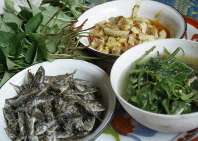 ban huay kaew, ban huay kaew bon, 2-day trek at ban huay kaew , ban huay kaew 2-day nature hike, 2-day hike in ban huay kaew, ban huay kaew 2 day trekking tour, 2 days of hiking ban huay kaew trails, ban huay kaew 2-day hill trel, 2-day trekking ban huay kaew, ban huay kaew 2-day trek