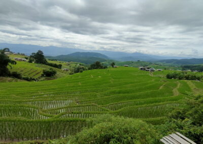 rice terraces ban pa bong piang, ban pa bong piang, mae jam, mae chaem, mae chaem district, mae jam district