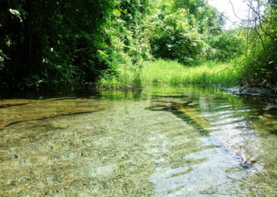 sai ngam hot spring, sai ngam natural hot spring, sai ngam natural mineral hot spring, sai ngam mineral hot spring