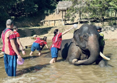 Elephant Family Chiang Rai, half day elephant chiang rai, elephant sanctuary chiang rai, karen ruammit elephant camp, chiang rai elephant bathing tour, elephant experience chiang rai, ethical elephant tour chiang rai, elephant feeding chiang rai, chiang rai elephant half day tour