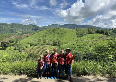 Elephant Family Chiang Rai, half day elephant chiang rai, elephant sanctuary chiang rai, karen ruammit elephant camp, chiang rai elephant bathing tour, elephant experience chiang rai, ethical elephant tour chiang rai, elephant feeding chiang rai, chiang rai elephant half day tour