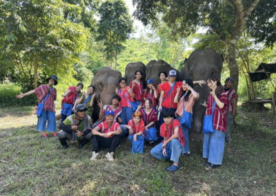 Elephant Family Chiang Rai, half day elephant chiang rai, elephant sanctuary chiang rai, karen ruammit elephant camp, chiang rai elephant bathing tour, elephant experience chiang rai, ethical elephant tour chiang rai, elephant feeding chiang rai, chiang rai elephant half day tour