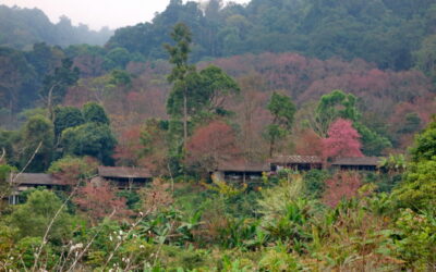 Khun Chang Khian Village